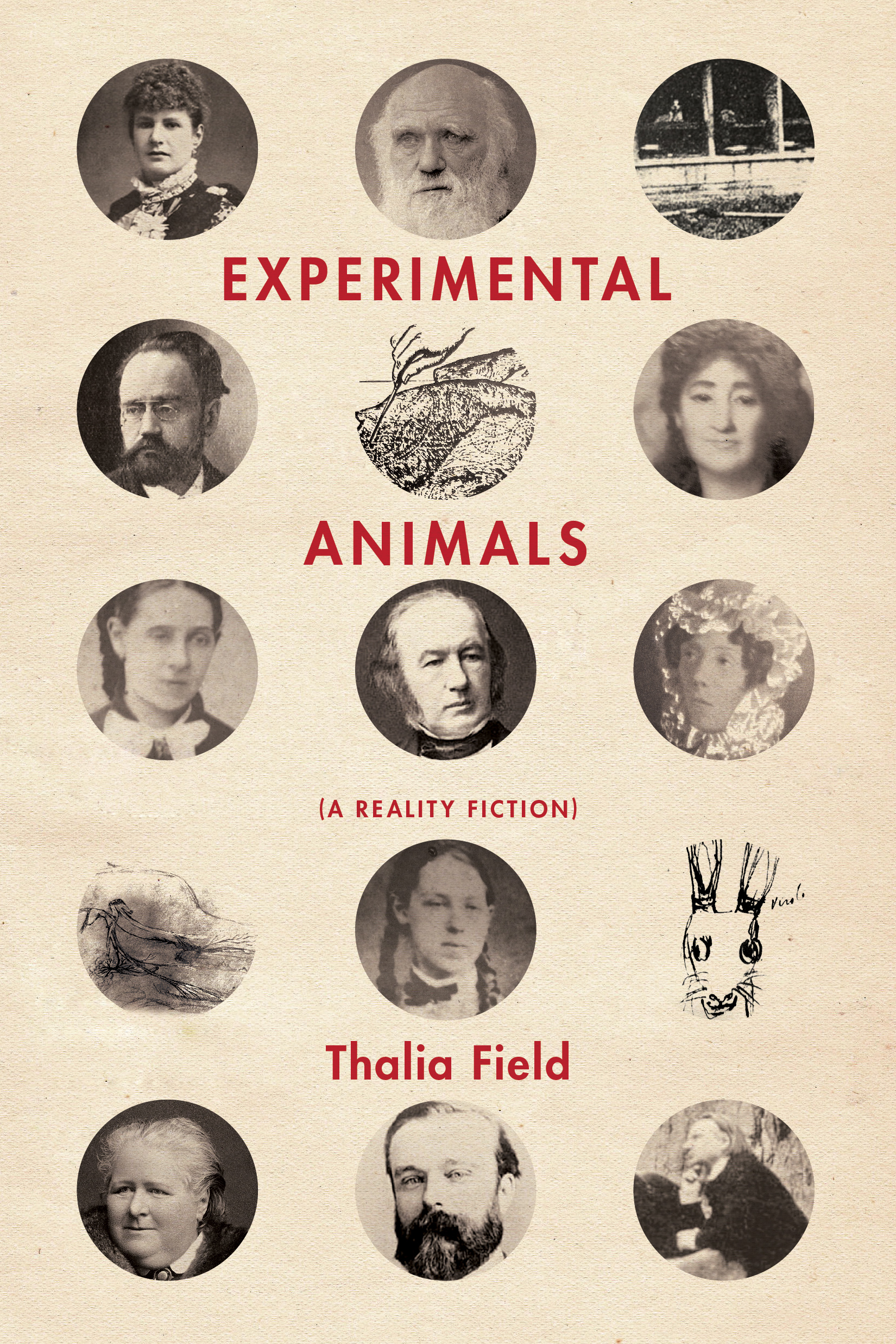 Experimental Animals (A Reality Fiction)